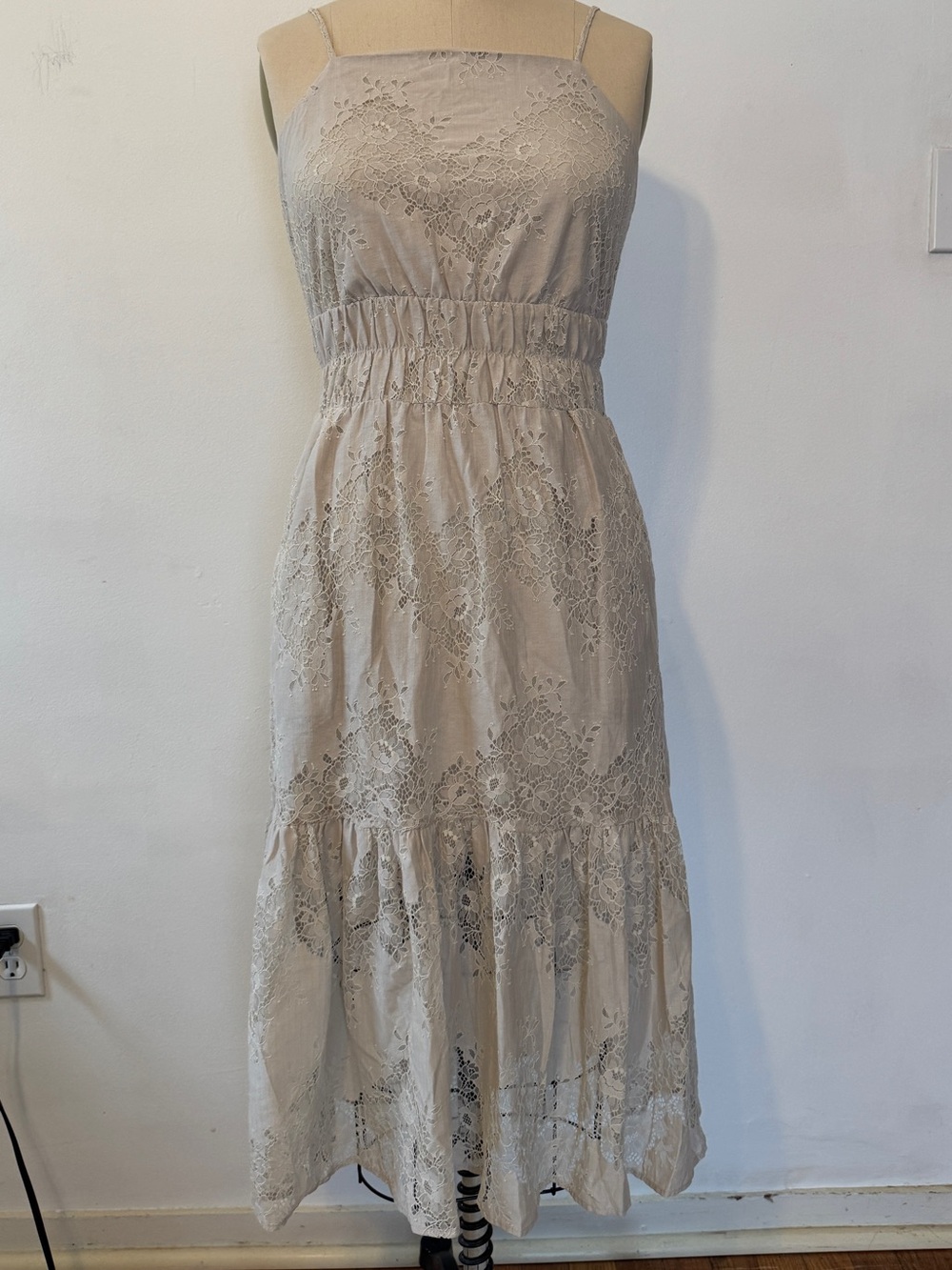 EXPRESS Lace Maxi Dress